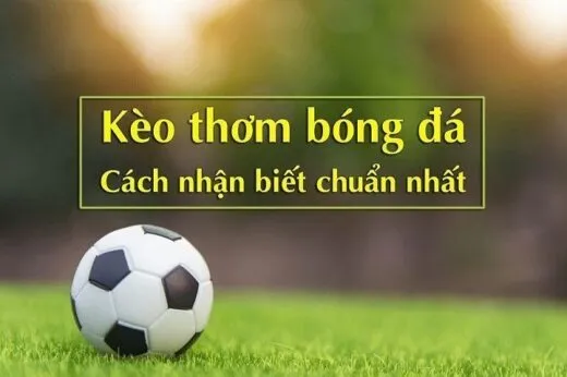 Hướng Dẫn Soi Kèo Thơm Trong Đá Bóng Online